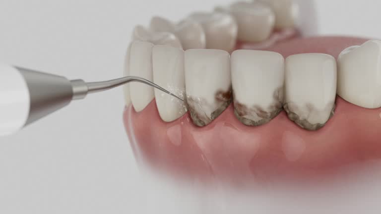 Reliable Dental contractor in Newcastle, WY by Dentist Open Now